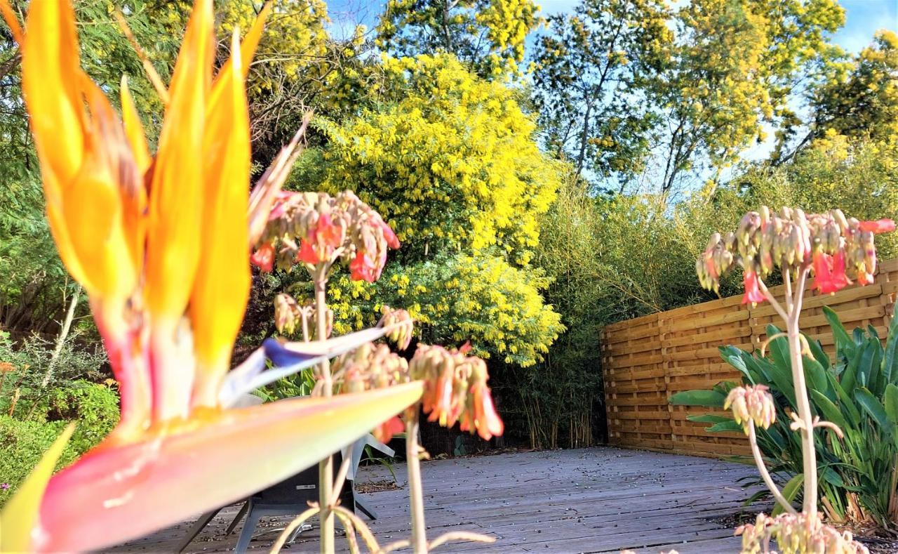 Hotel Les Jardins De Bormes, Sauna & Jacuzzi Exterior foto